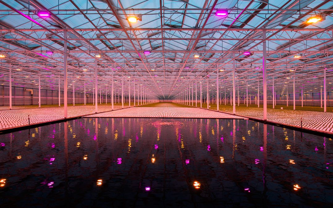 Bespaar met Subsidie voor LED Verlichting: Duurzaam en Voordelig!